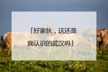 好家伙，这还是我认识的武汉吗