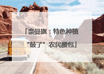 奈曼旗：特色种植“鼓了”农民腰包