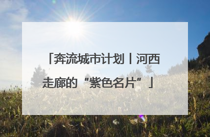 奔流城市计划丨河西走廊的“紫色名片”