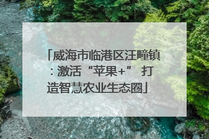 威海市临港区汪疃镇：激活“苹果+” 打造智慧农业生态圈