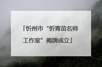 忻州市“忻青苗名师工作室”揭牌成立