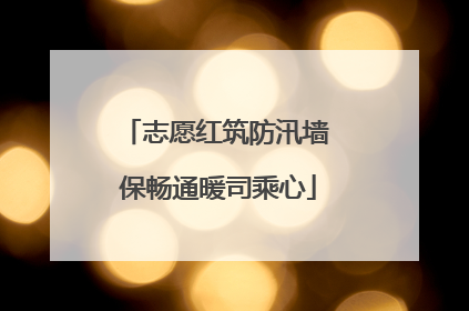 志愿红筑防汛墙 保畅通暖司乘心