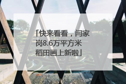 快来看看，闫家岗8.6万平方米稻田画上新啦