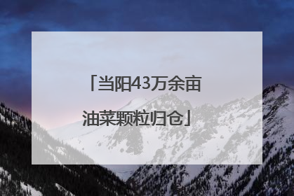 当阳43万余亩油菜颗粒归仓