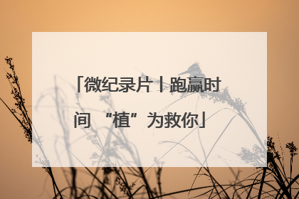 微纪录片丨跑赢时间 “植”为救你