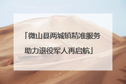 微山县两城镇精准服务助力退役军人再启航