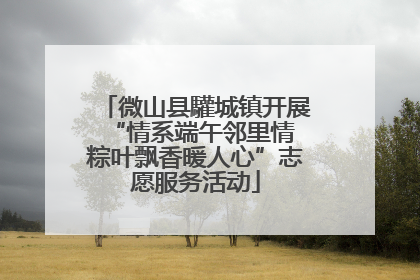 微山县驩城镇开展“情系端午邻里情 粽叶飘香暖人心”志愿服务活动