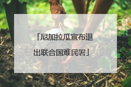尼加拉瓜宣布退出联合国难民署
