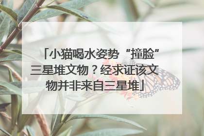 小猫喝水姿势“撞脸”三星堆文物？经求证该文物并非来自三星堆