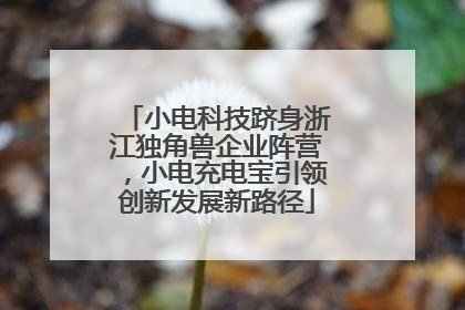 小电科技跻身浙江独角兽企业阵营，小电充电宝引领创新发展新路径