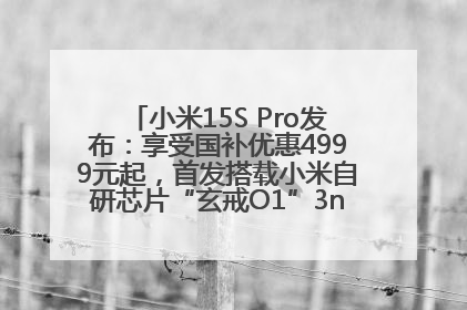 小米15S Pro发布：享受国补优惠4999元起，首发搭载小米自研芯片“玄戒O1”3nm旗舰处理器