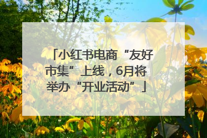 小红书电商“友好市集”上线，6月将举办“开业活动”