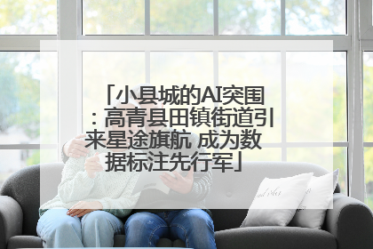 小县城的AI突围：高青县田镇街道引来星途旗航 成为数据标注先行军