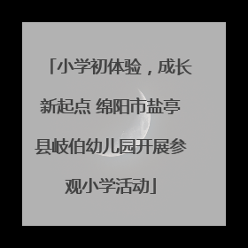 小学初体验，成长新起点 绵阳市盐亭县岐伯幼儿园开展参观小学活动
