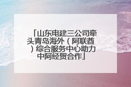 山东电建三公司牵头青岛海外（阿联酋）综合服务中心助力中阿经贸合作