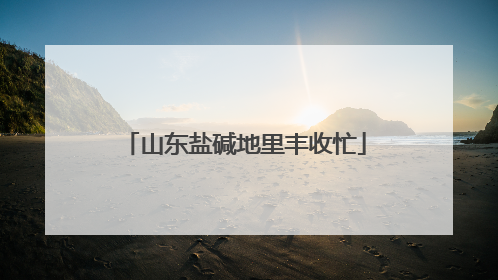 山东盐碱地里丰收忙