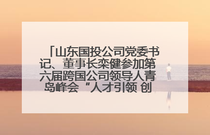 山东国投公司党委书记、董事长栾健参加第六届跨国公司领导人青岛峰会“人才引领 创新驱动”人力资源高质量发展对话会
