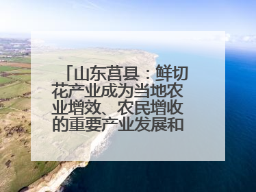 山东莒县：鲜切花产业成为当地农业增效、农民增收的重要产业发展和特色品牌