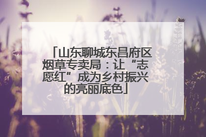 山东聊城东昌府区烟草专卖局：让“志愿红”成为乡村振兴的亮丽底色