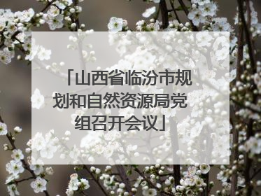山西省临汾市规划和自然资源局党组召开会议