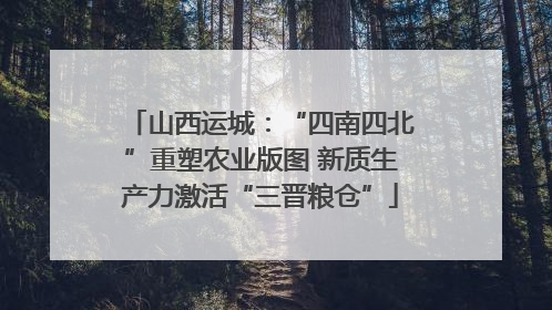 山西运城：“四南四北”重塑农业版图 新质生产力激活“三晋粮仓”