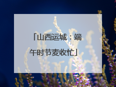 山西运城：端午时节麦收忙