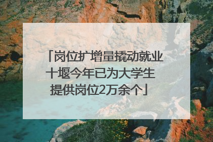 岗位扩增量撬动就业 十堰今年已为大学生提供岗位2万余个