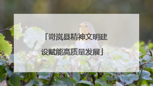 岢岚县精神文明建设赋能高质量发展