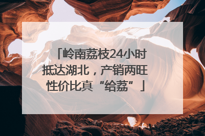 岭南荔枝24小时抵达湖北，产销两旺性价比真“给荔”