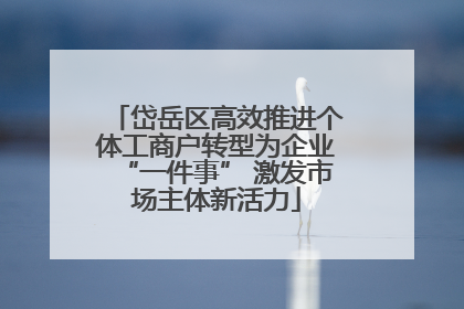 岱岳区高效推进个体工商户转型为企业“一件事” 激发市场主体新活力