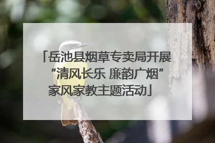 岳池县烟草专卖局开展“清风长乐 廉韵广烟”家风家教主题活动