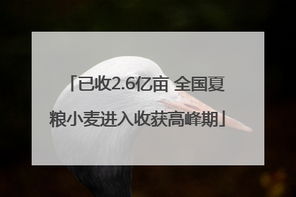 已收2.6亿亩 全国夏粮小麦进入收获高峰期