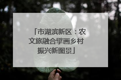 市湖滨新区：农文旅融合擘画乡村振兴新图景