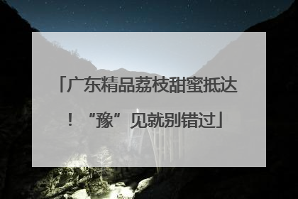 广东精品荔枝甜蜜抵达！“豫”见就别错过