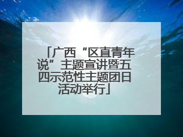 广西“区直青年说”主题宣讲暨五四示范性主题团日活动举行
