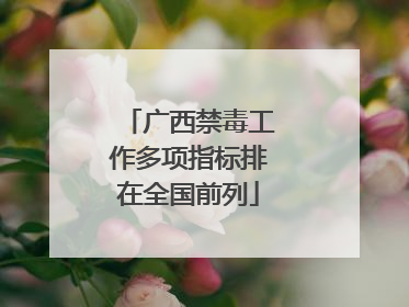 广西禁毒工作多项指标排在全国前列