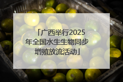 广西举行2025年全国水生生物同步增殖放流活动
