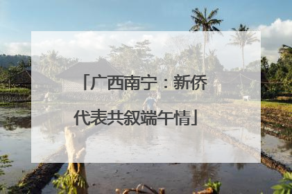 广西南宁：新侨代表共叙端午情