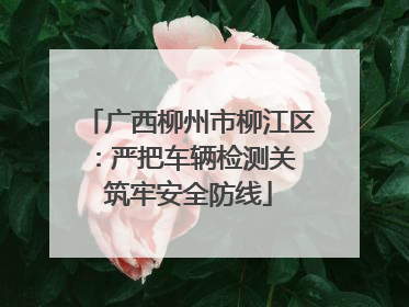广西柳州市柳江区：严把车辆检测关 筑牢安全防线