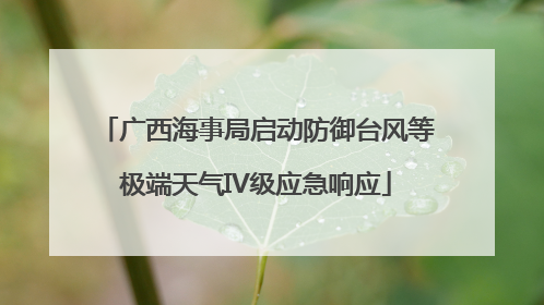 广西海事局启动防御台风等极端天气IV级应急响应