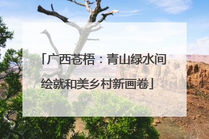 广西苍梧：青山绿水间绘就和美乡村新画卷