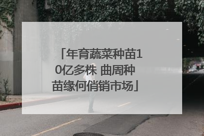 年育蔬菜种苗10亿多株 曲周种苗缘何俏销市场