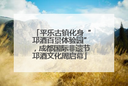 平乐古镇化身“邛酒百景体验园”，成都国际非遗节邛酒文化周启幕