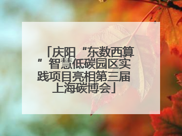 庆阳“东数西算”智慧低碳园区实践项目亮相第三届上海碳博会