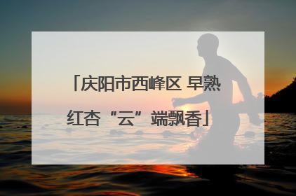 庆阳市西峰区 早熟红杏“云”端飘香