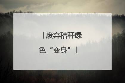 废弃秸秆绿色“变身”