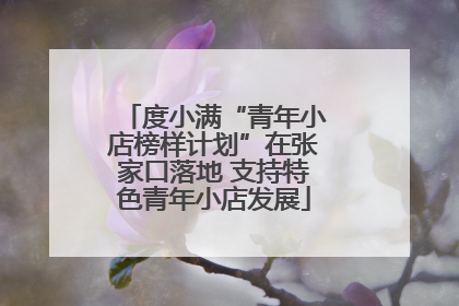 度小满“青年小店榜样计划”在张家口落地 支持特色青年小店发展