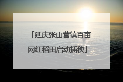 延庆张山营镇百亩网红稻田启动插秧