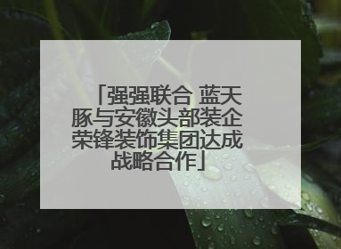 强强联合 蓝天豚与安徽头部装企荣锋装饰集团达成战略合作