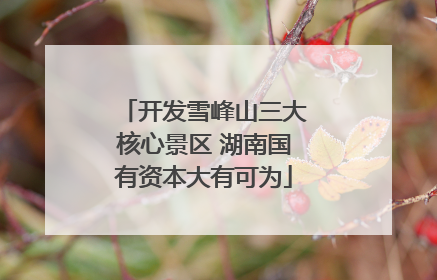 开发雪峰山三大核心景区 湖南国有资本大有可为